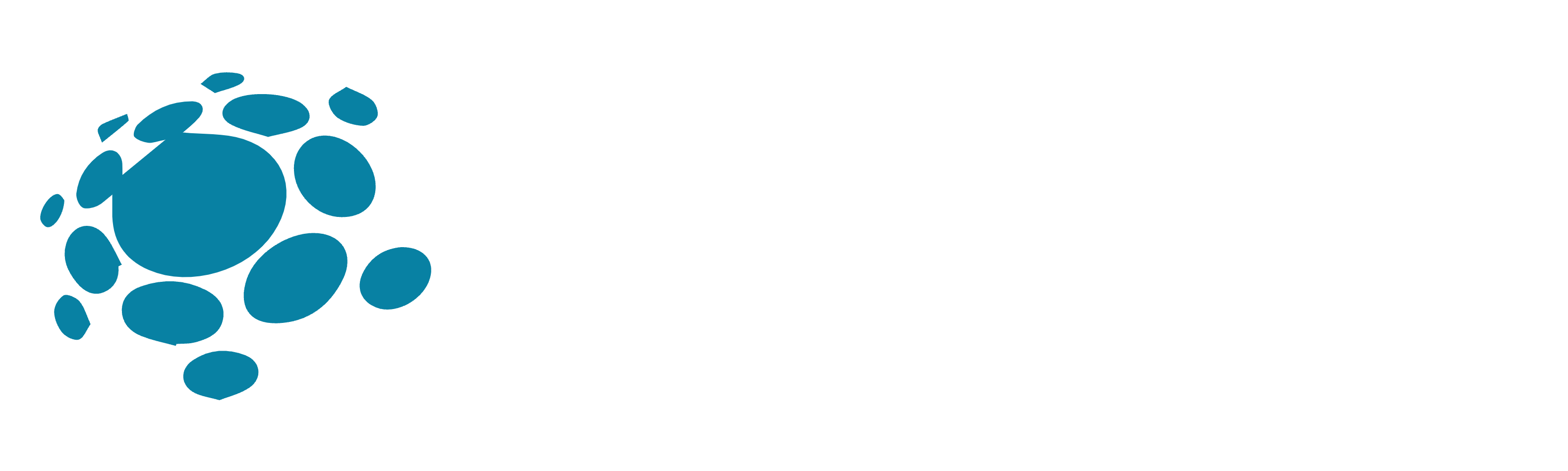 RENT A COOLER